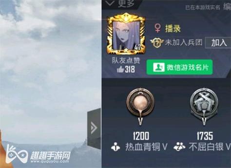 和平精英《闪电》外挂强势回归营救现在直装拉闸市场
